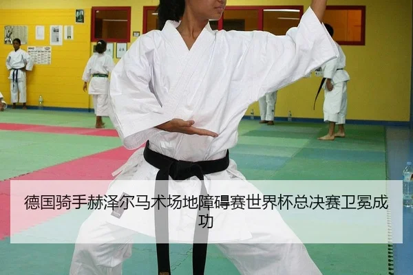 de-guo-qi-shou-he-ze-er-ma-shu-chang-di-zhang-ai-sai-shi-jie-bei-zong-jue-sai-wei-mian-cheng-gong-2-397.jpg