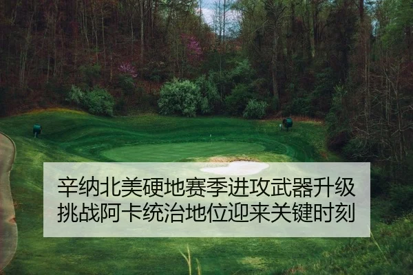 xin-na-bei-mei-ying-di-sai-ji-jin-gong-wu-qi-sheng-ji-tiao-zhan-a-ka-tong-zhi-di-wei-ying-lai-guan-jian-shi-ke-2-462.jpg