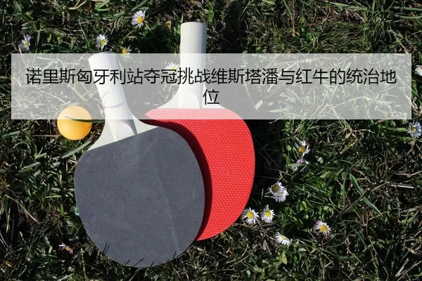 诺里斯匈牙利站夺冠挑战维斯塔潘与红牛的统治地位 - leyu